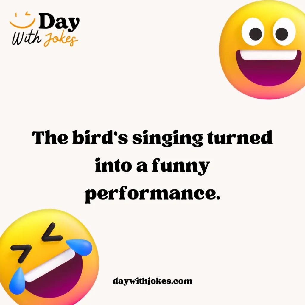 Bird Jokes Humor