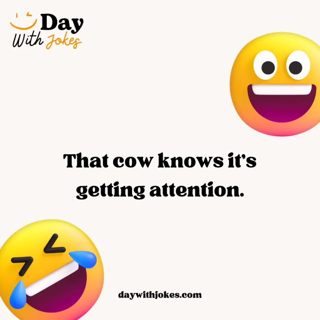 Dirty Cow Jokes