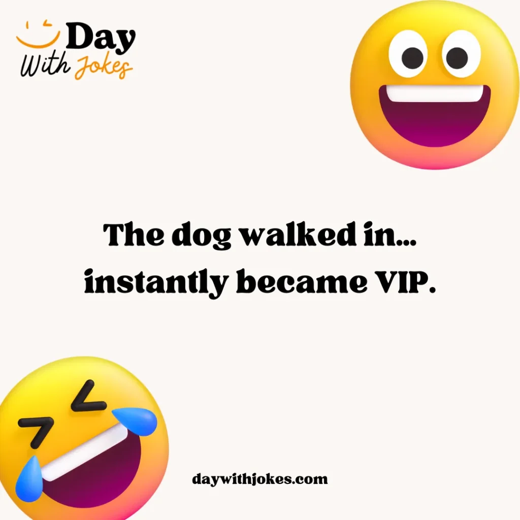 Dog Walks Into a Bar Joke