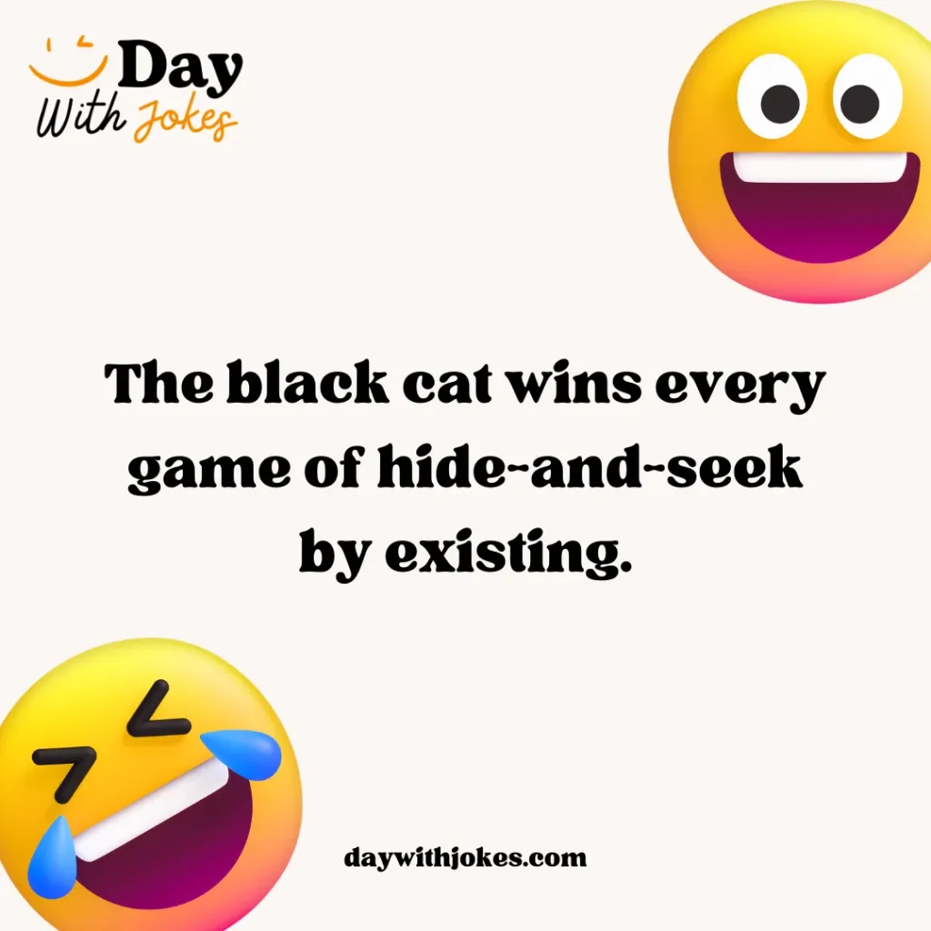 Black Cat Jokes