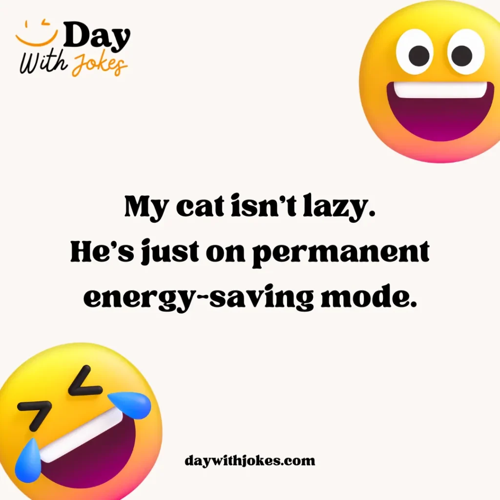Cat Joke