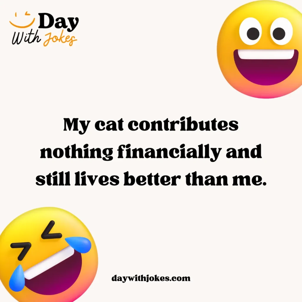 Cat Jokes for Adults