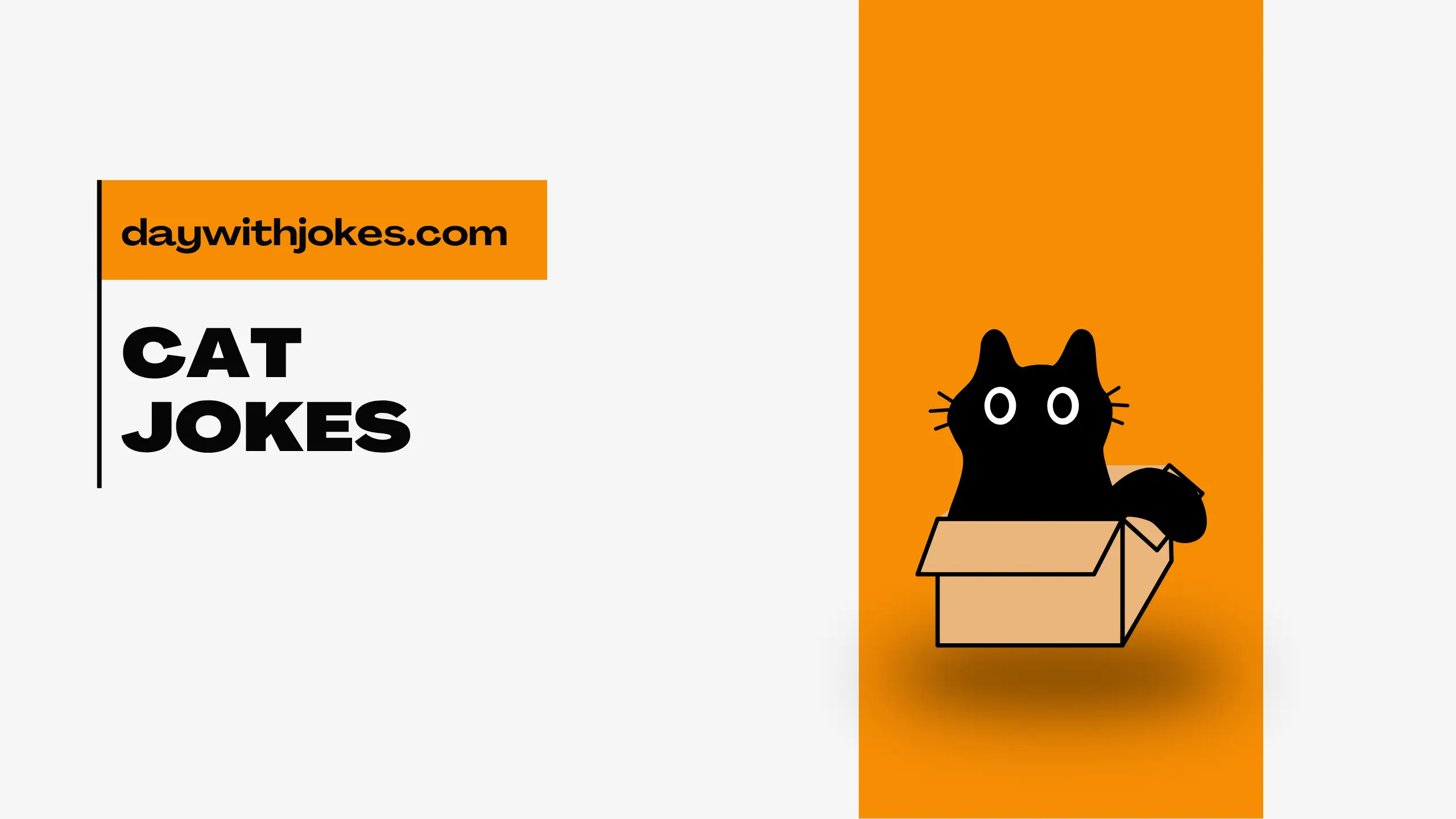Cat Jokes
