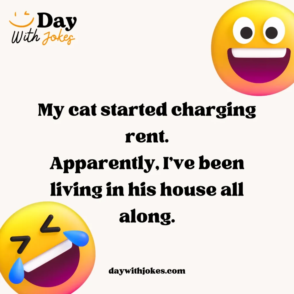 Funny Cat Jokes