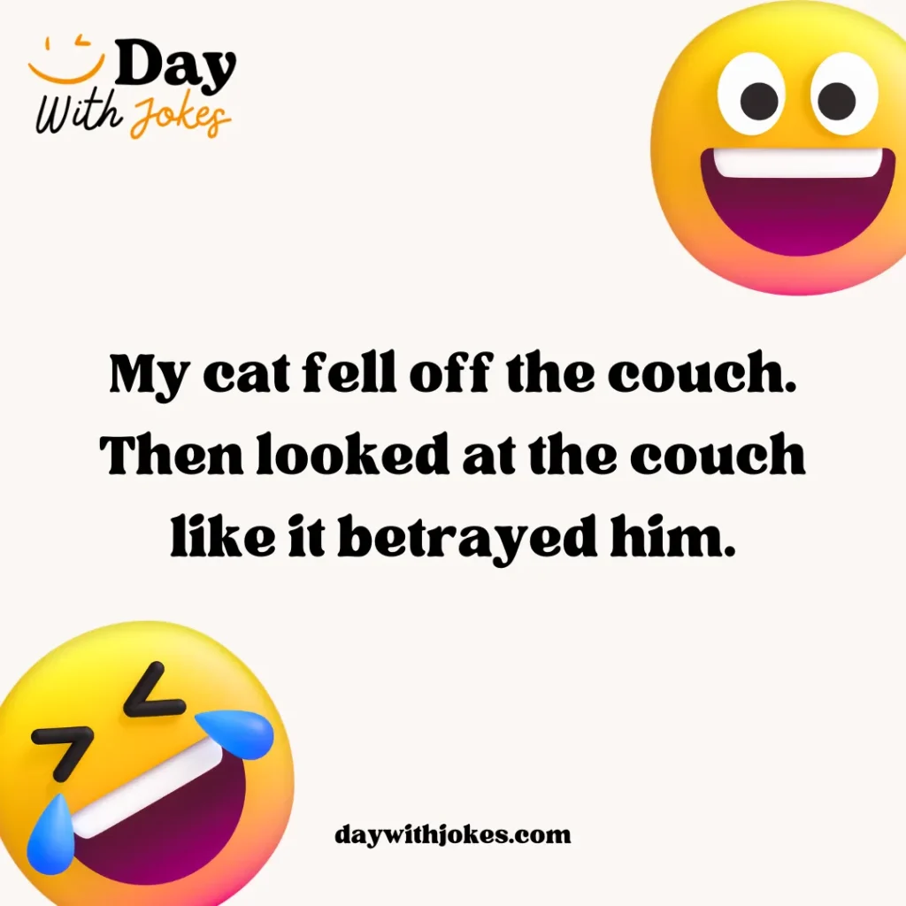 Hilarious Cat Jokes