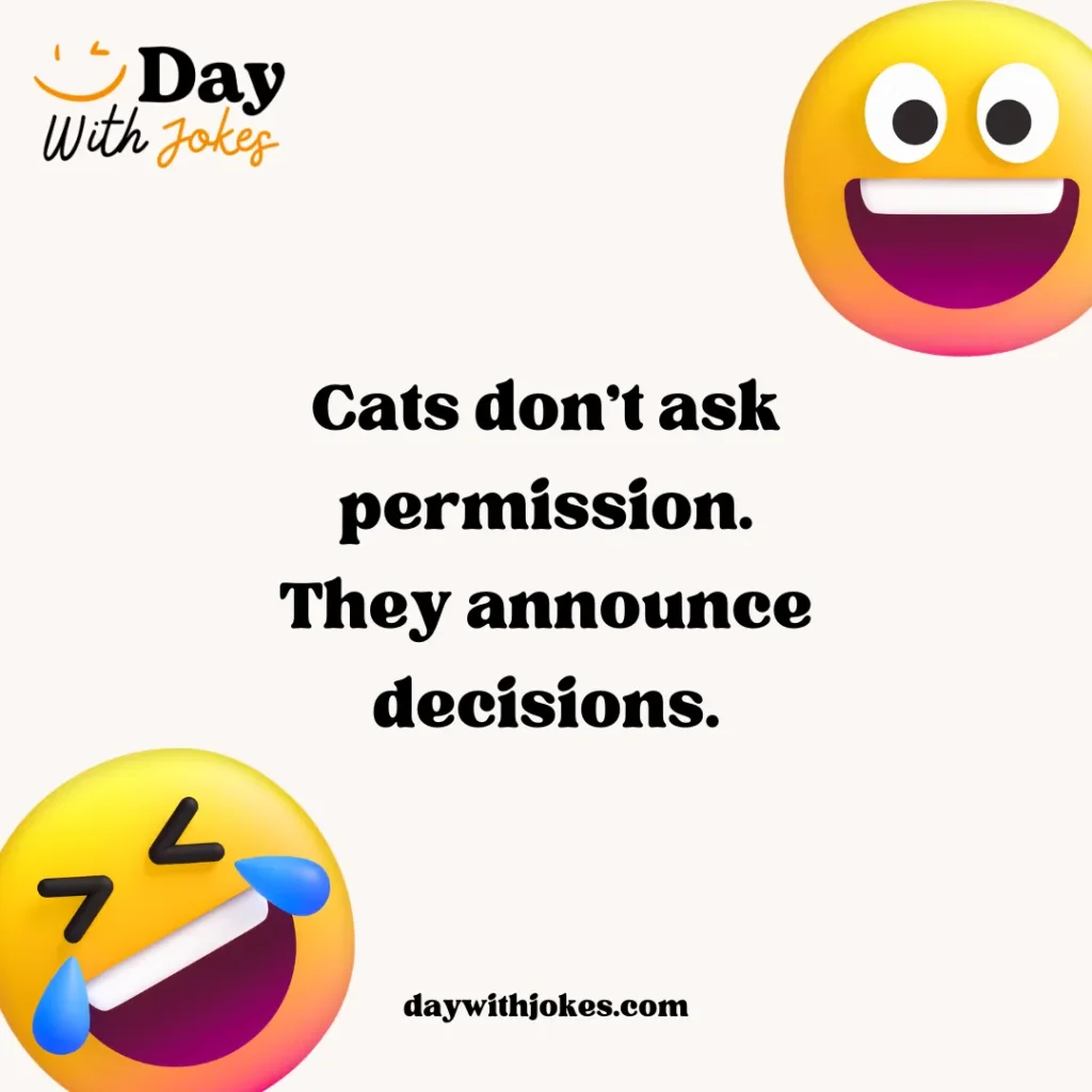 Jokes About Cats