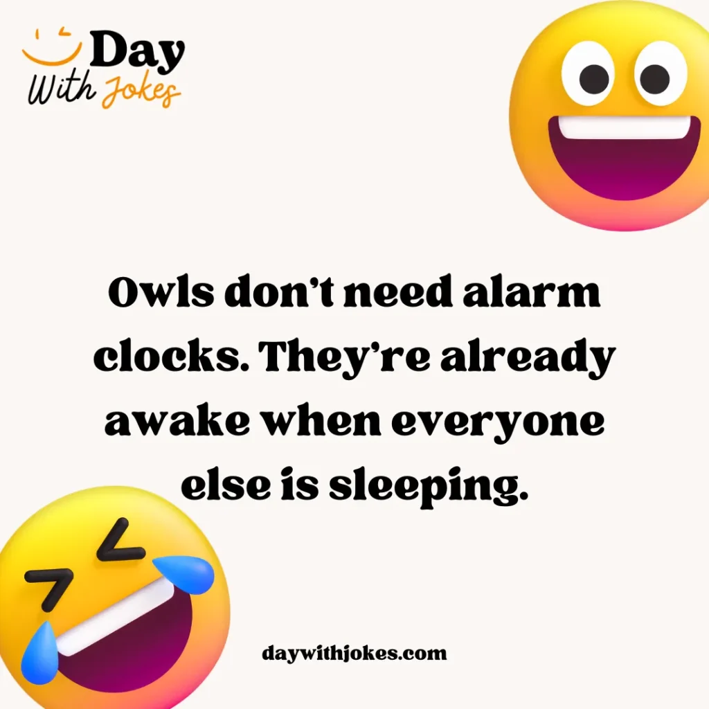 Jokes About Owls