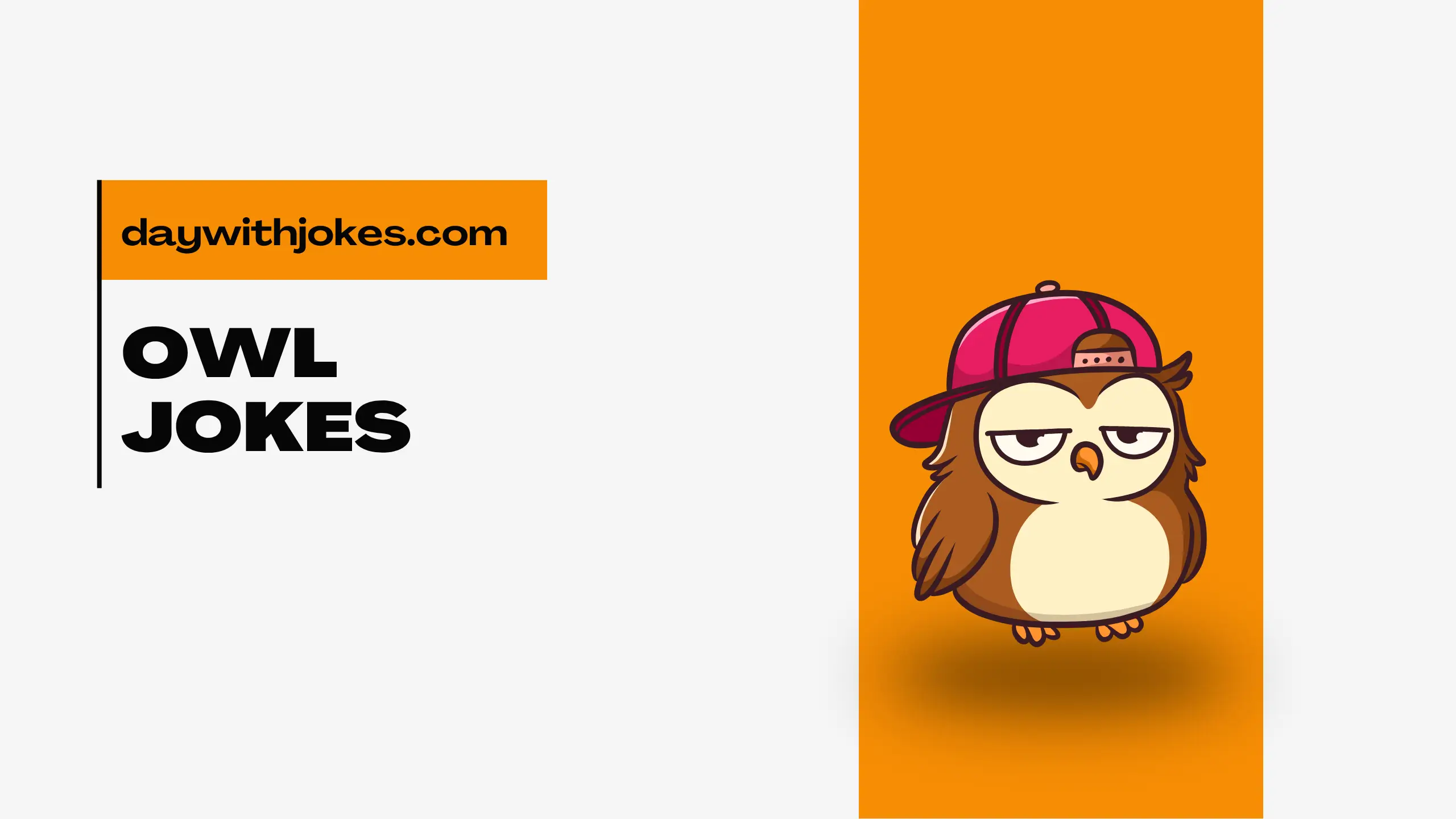 OWL Jokes