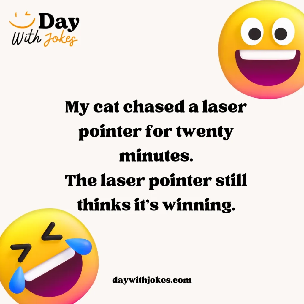 Silly Cat Jokes